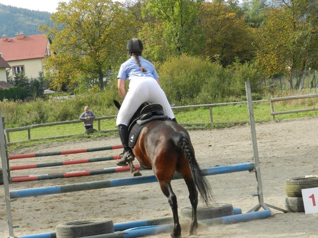 Babie Lato 2016